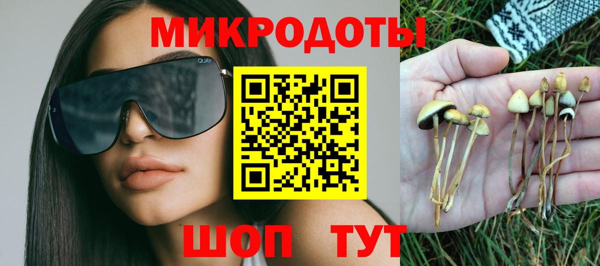 Коммунар  Псилоцибиновые грибы GOLDEN TEACHER  Вход с VPN 